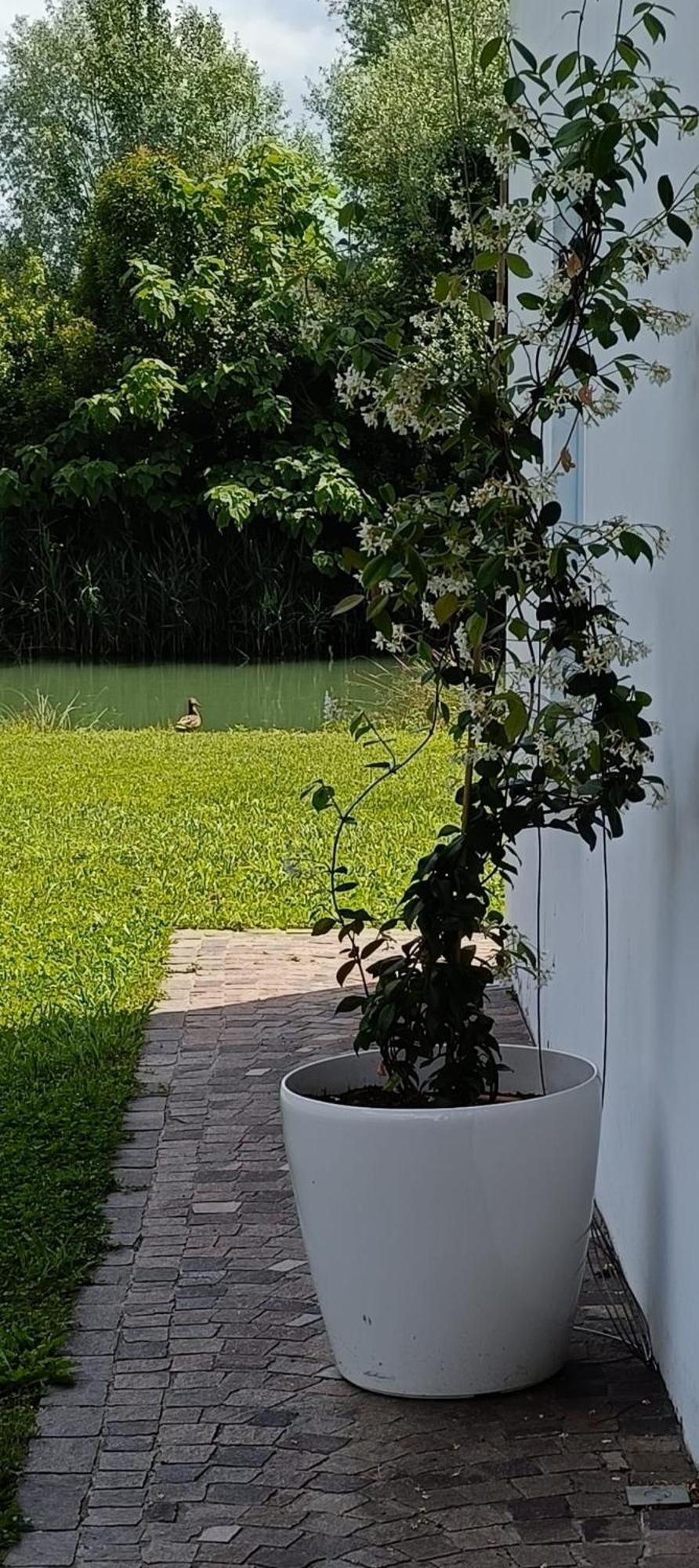 Locazione Riv'Al Sile Hotel Quinto Di Treviso Екстериор снимка